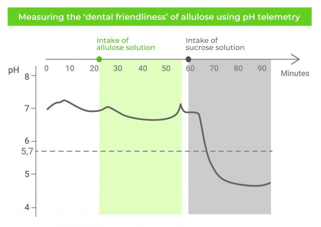 © SAVANNA Ingredients GmbH – All rights reserved